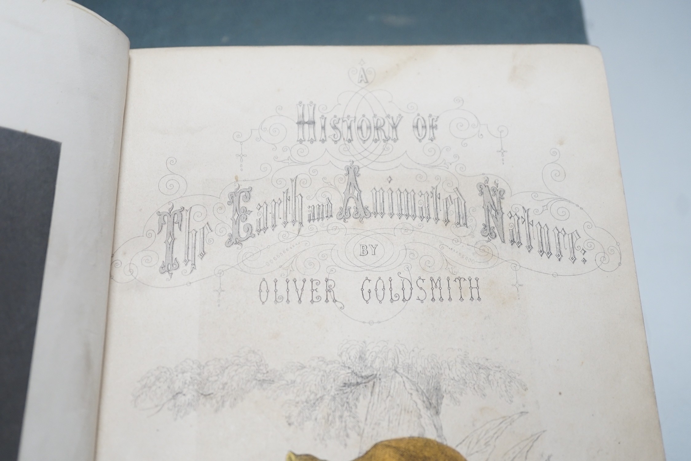 A History of The Earth and Animated Nature by Oliver Goldsmith, 2 vols